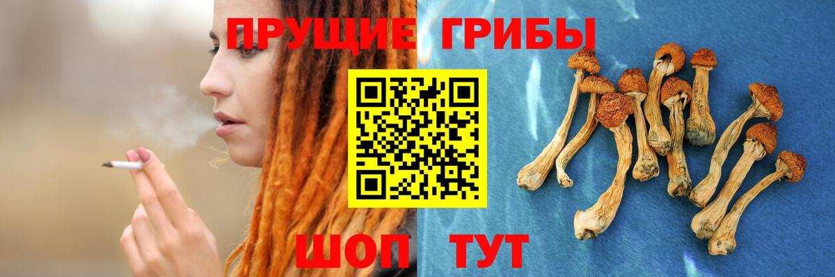 Псилоцибиновые грибы прущие грибы Тула
